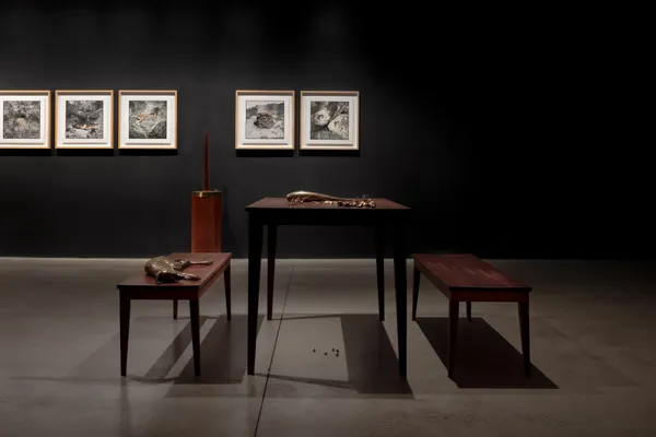 Installation view, &lsquo;James Tylor: Turrangka&hellip;in the shadows&rsquo;, UNSW Galleries, Sydney 2023 Photography: Jacquie Manning