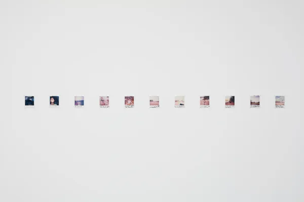 Image courtesy of Lawrence Wilson Art Gallery, photo by Acorn Photography.