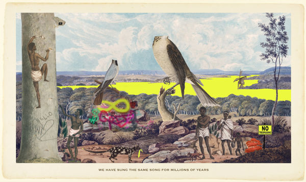 JOAN ROSS We have sung the same song for millions of years, 2021 hand-coloured pigment print on rag paper 59 x 100 cm / 69.5 x 112 cm (framed) edition of 8 + 2 AP