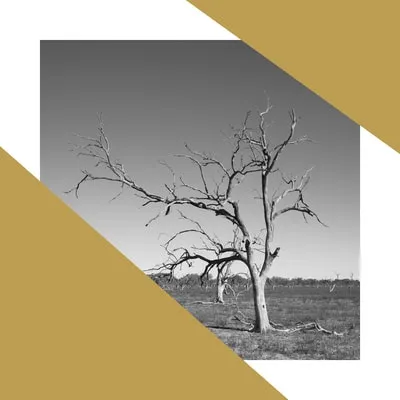 Economics Of Water 10 Canal 2018 Gold Paint On Photograph 100X100Cm