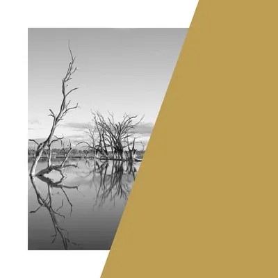 Economics Of Water 12 Embankment 2018 Gold Paint On Photograph 100X100Cm