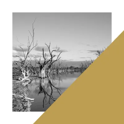 Economics Of Water 14 Bank 2018 Gold Paint On Photograph 100X100Cm