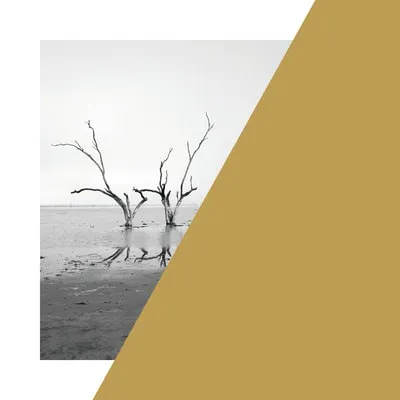 Economics Of Water 3 Reservoir 2018 Gold Paint On Photograph 100X100Cm