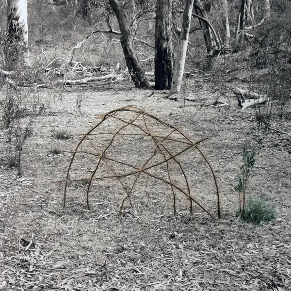 Un Resettling Bird Snare 2016 Handcoloured Digital Print 50X50Cm