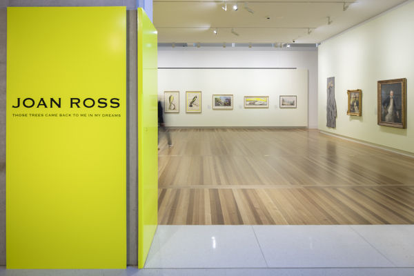 Joan Ross: Those trees came back to me in my dreams