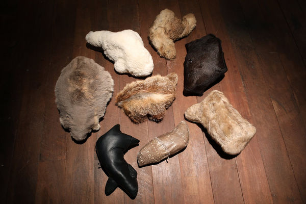 Musical Miscellaneous Animals, Rebecca Selleck