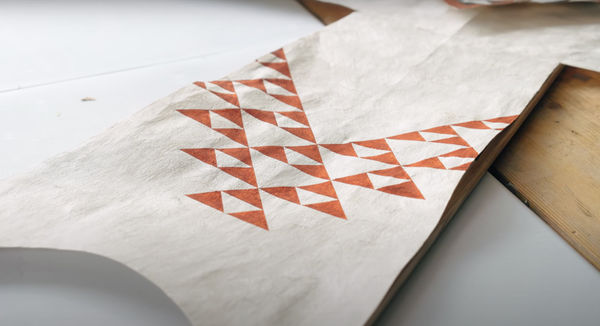 Djamu Aute with Nikau Hindin and Art Gallery NSW, Seb Charles