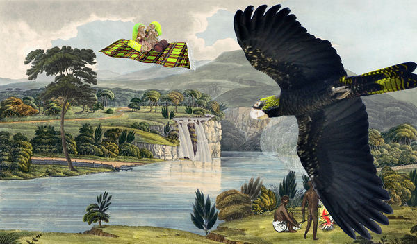 BBQ this Sunday BYO, Joan Ross