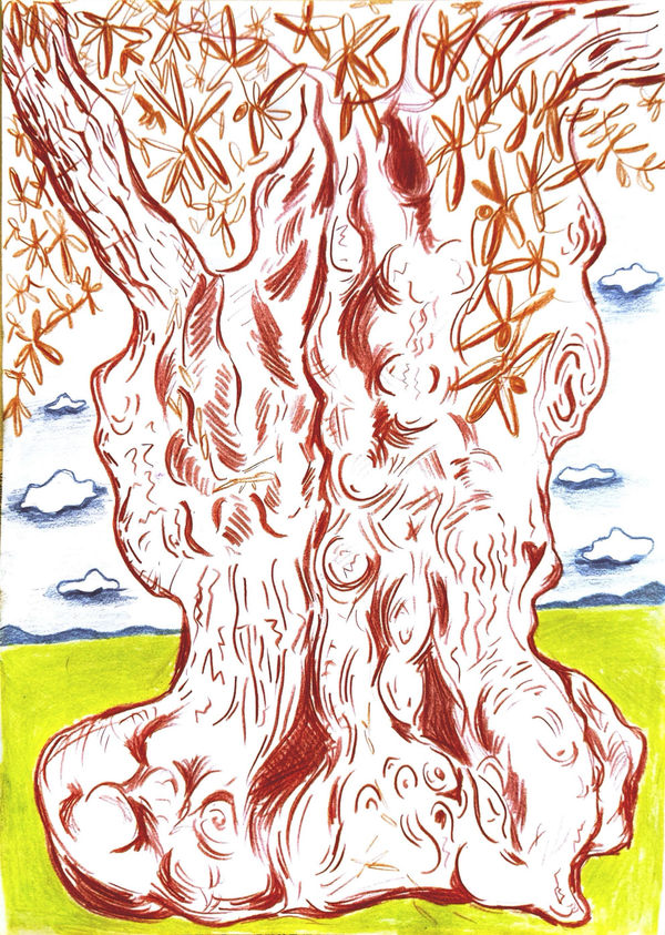 Surreal Olive Tree: Red