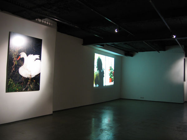 Sergey Bratkov Seven, 2004