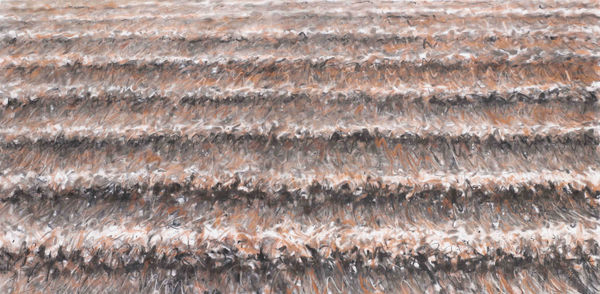 Alexey Kallima Octave, 2026 charcoal, sanguine on canvas 147 x 300 cm