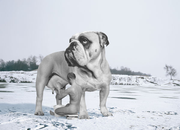 Олег Кулик | Oleg Kulik Большое молоко, из серии «Русское» | Big Milk from the series Russian, 1999