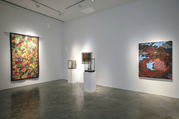 Collectors Plus 2025 Silverlens Install 4