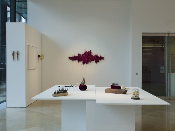 Susie MacMurray: Murmur Installation view