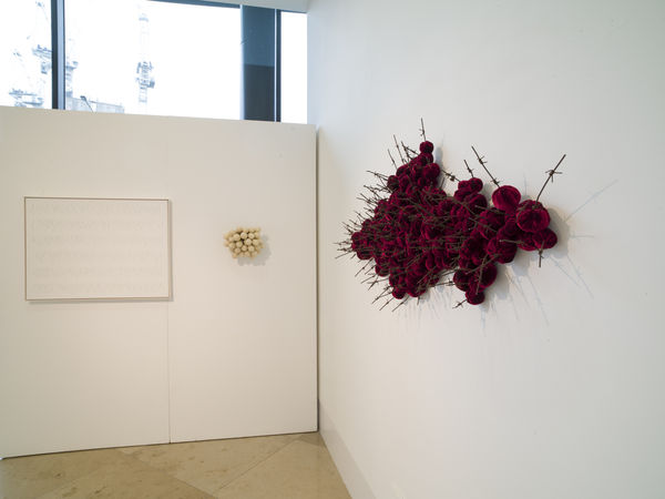 Susie MacMurray: Murmur Installation view