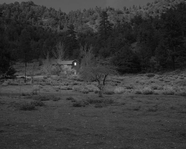 The Hermits Garden #2, 2013