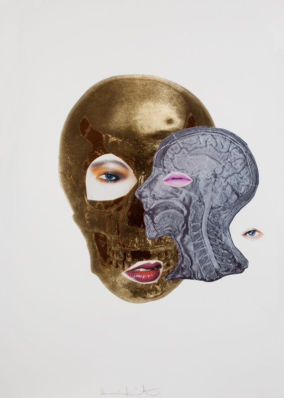 Cool Gold European Gold Dissection Of The Head And Neck