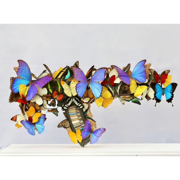 Bran - Humour & Humility, 2025