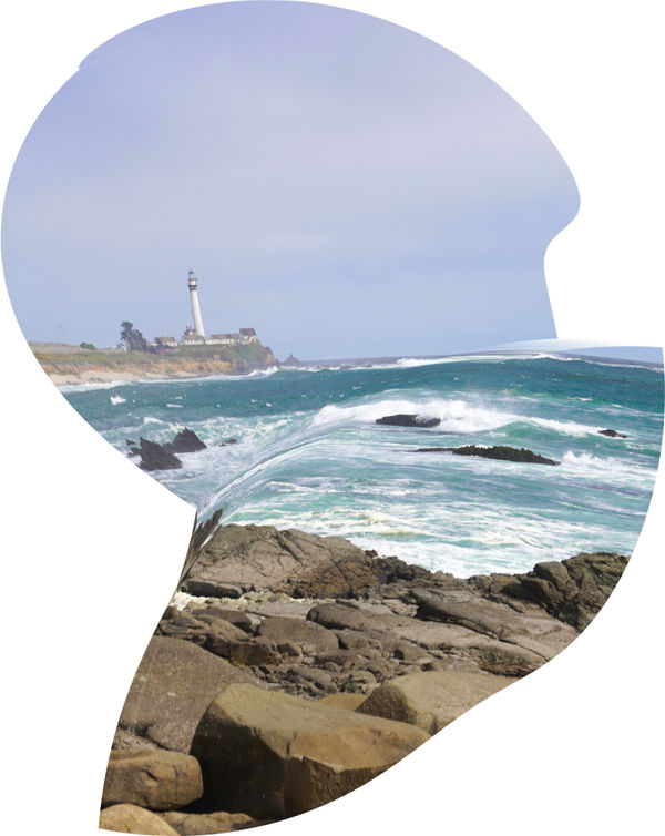 Pamela Davis Kivelson, Tidal Euphoria, 2021