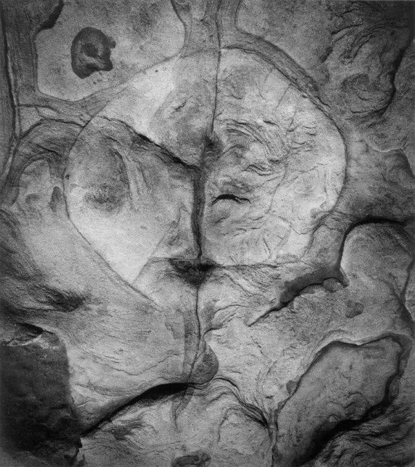 #1445 - Wynn Bullock