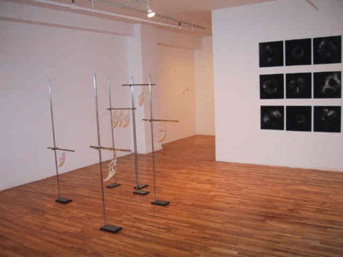 At Installation View 2001 3 Large