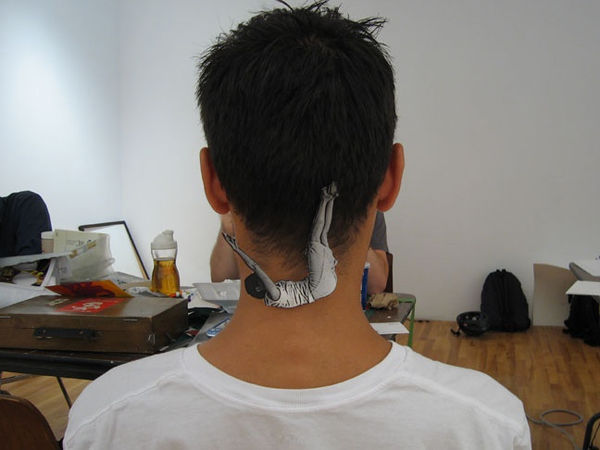 Cp View 2006 6 Large