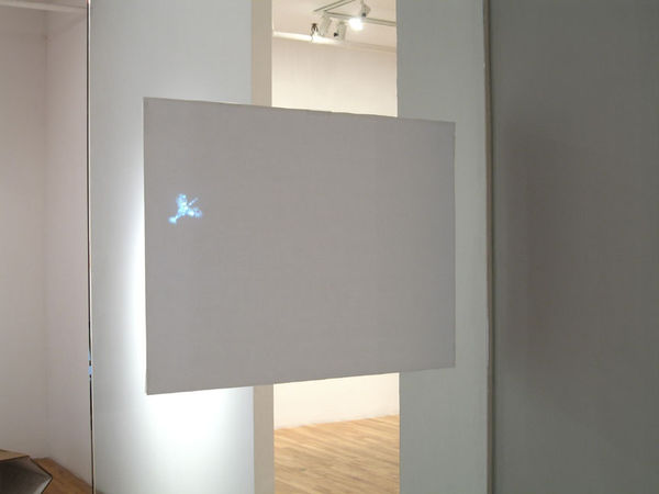 Christine Redfern, Bird, 2006, vidéo et 2 dessins
