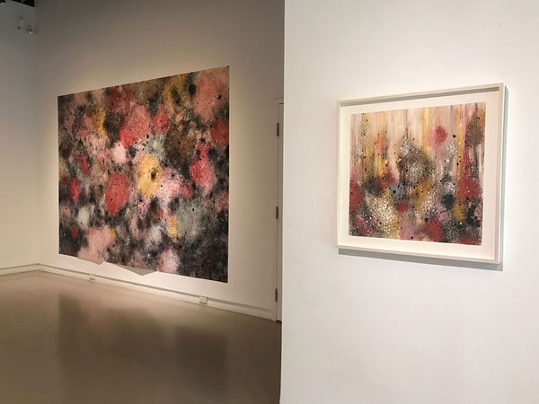 Jf Cs Installation 2017 3