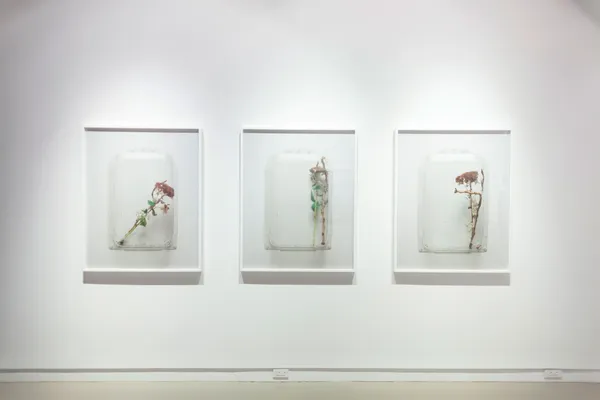 Cw Cs View 3 2013 Large