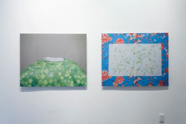 Cw Cs View 5 2013 Large