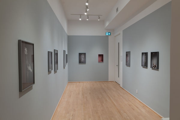 Bn Install Pour Un Herbier 04