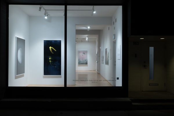 Chih Chien Wang 2023 Pfoac Install 9