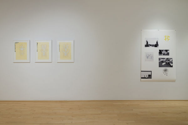 017 Ou L Echo Precede La Voix Photo Michael Patten