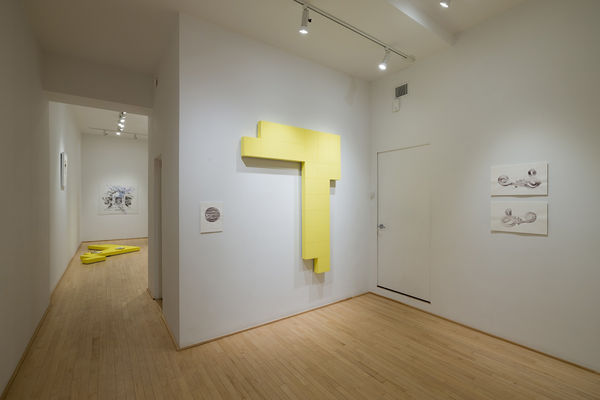 031 Ou L Echo Precede La Voix Photo Michael Patten