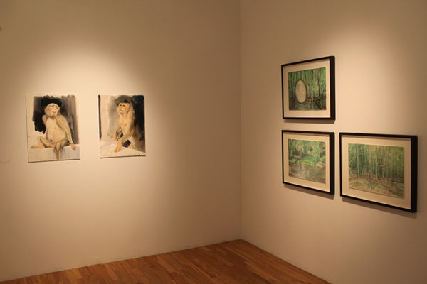 Fluid Viewoftheshow 5 Large