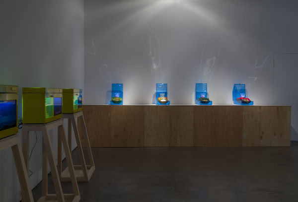 Cheng Install 26 Jmc Lg