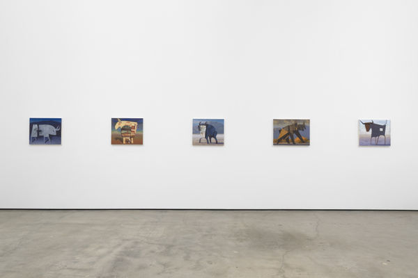 Dd 2022 Reanimal Install2 Jmc Lg