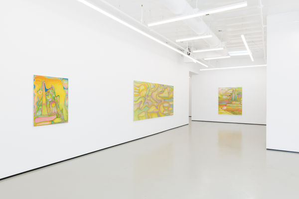 Ln Install04 Pmg 09 2023