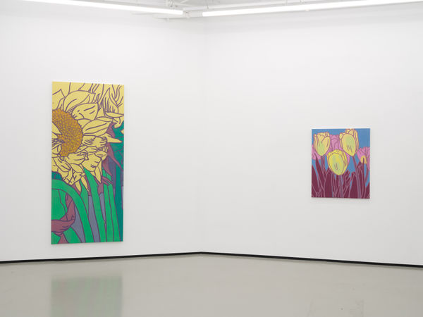 Hs 2025 Pmginstall20 Jmc Lg