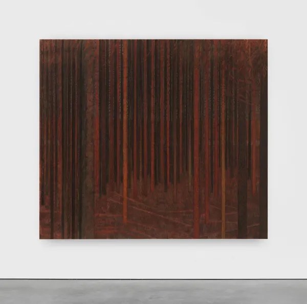 Dallas Art Fair 2026 | Sky Glabush | Booth D4