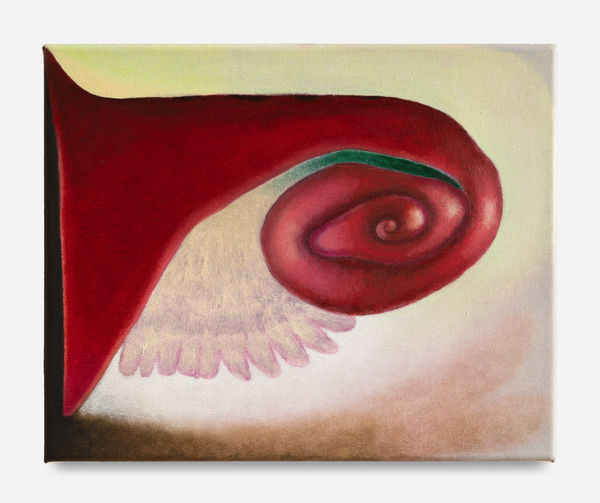 Kristy Luck in conversation with curator Victor Gorgulho