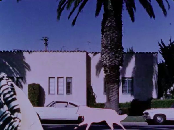 Pat O'Neill, 'Foregrounds' (Excerpt)