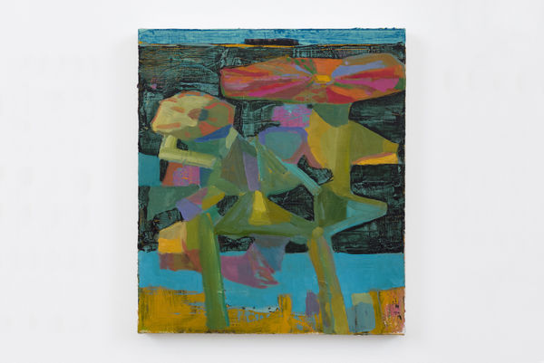 Tomory Dodge Desert Flowers