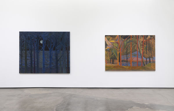 Sky Glabush The Caged Lark