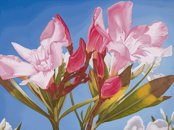 Mustafa Hulusi Cyprus Realism (Oleander 3) 2019 Oil on canvas 152.4 x 203.2 cm