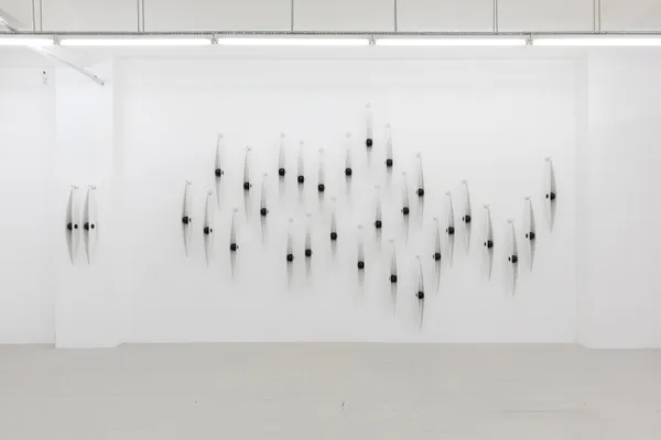 Osman Dinc, Eyes In Downpour, 2025