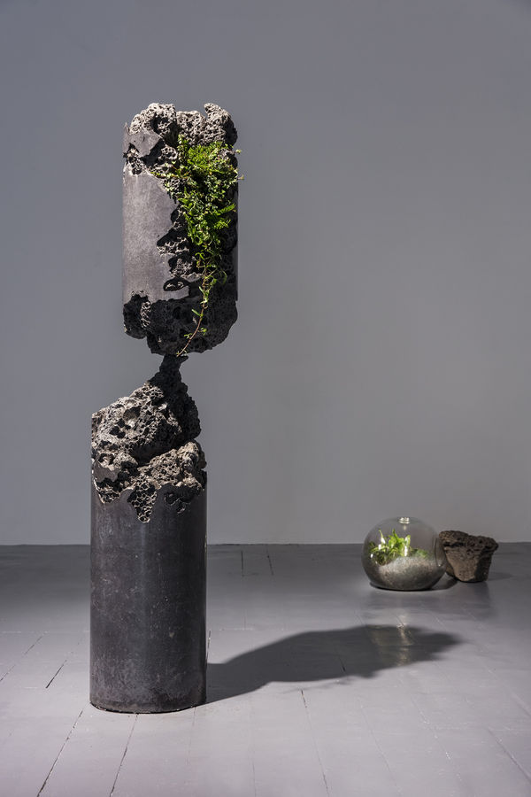 Jamie North Inflection