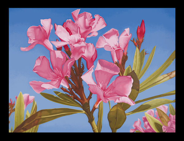 Mustafa Hulusi Cyprus Realism （As part of the London Collective on Vortic Platform）