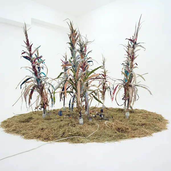 Alya Hatta A Soft Place To Land