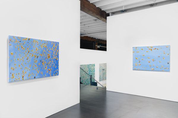 Doug Argue 24Mp 20220914 2